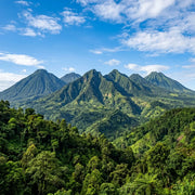 Travel eSIM for Rwanda